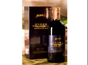 野生藍莓酒加盟 代理 野生藍莓酒加盟 電話 加盟費多少錢