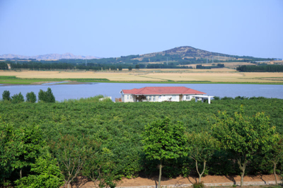 藍莓酒成國際酒業(yè)"后起之秀" 青島酒莊參與制定國家標(biāo)準(zhǔn)|青島|半島網(wǎng)