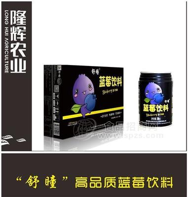 隆輝農(nóng)業(yè)經(jīng)典級藍(lán)莓酒