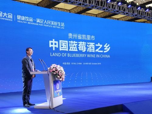 第2屆世界飲品大會閉幕 中國藍(lán)莓酒之鄉(xiāng) 中國柿酒之鄉(xiāng) 授牌