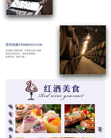 蘇子富春 藍莓酒女士低度紅酒男士半甜型果酒東北特產小粒藍莓果酒非葡萄酒500ml